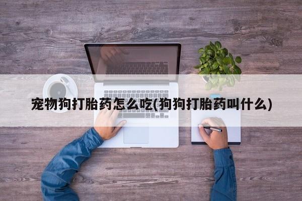 私人卖打胎药联系方式宠物狗打胎药怎么吃(狗狗打胎药叫什么)