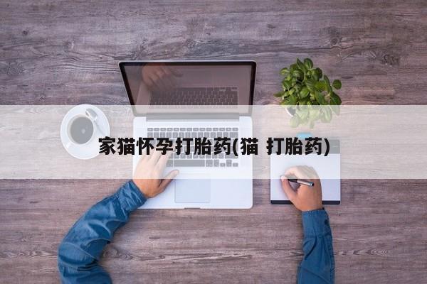 私人卖打胎药联系方式家猫怀孕打胎药(猫 打胎药)